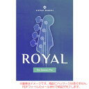 UJAM VIRTUAL BASSIST ROYAL2 ダウンロード版 安心の日本正規品！【5/7まで特価！】