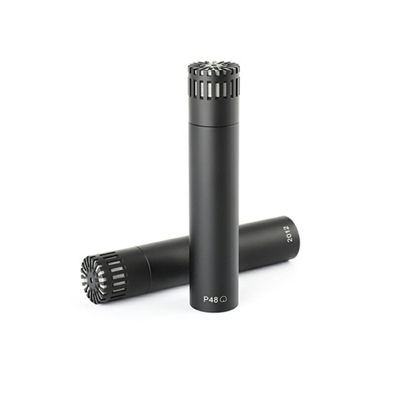 樂天商城 - DPA ST2012 ステレオペア 安心の日本正規品！カーディオイド