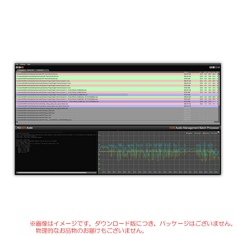 NUGEN AUDIO AMB - AUDIO MANAGEMENT BATCH PROCESSOR _E[h S̓{KiI