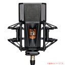 LEWITT PURE TUBE STUDIO SET 安心の日本正規品!【6/1までプラグイン貰える!】