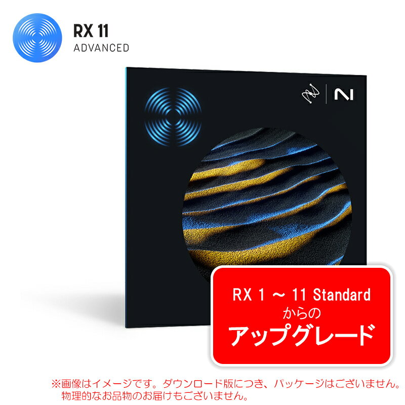 IZOTOPE RX 11 ADVANCED UPGRADE RX STANDARD ダウンロード版【6/13まで特価！】