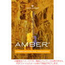 楽天サンフォニックス楽天市場店UJAM VIRTUAL GUITARIST AMBER 2 ダウンロード版 安心の日本正規品！【5/7まで特価！】