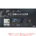 UJAM VIRTUAL PIANIST BUNDLE ダウンロード版 【速い!最短当日メールで納品】