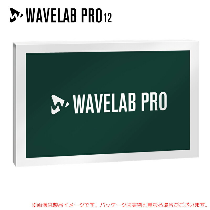 STEINBERG WAVELAB PRO 12 ʏ S̓{KiI