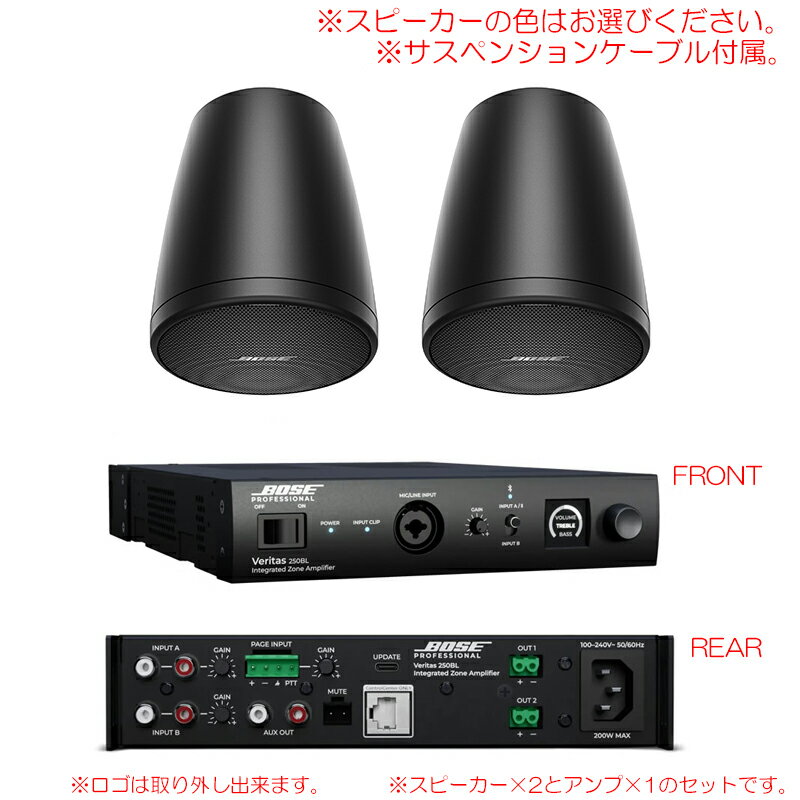 樂天商城 - BOSE FS2P VERITAS 250BL 導入セット2 （スピーカー2本） サスペンションケーブル付属