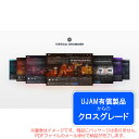 UJAM VIRTUAL DRUMMER BUNDLE ロイヤリティ (クロスグレード) ダウンロード版 安心の日本正規品!