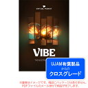 UJAM VIRTUAL PIANIST VIBE ロイヤリティ (クロスグレード) ダウンロード版 安心の日本正規品!