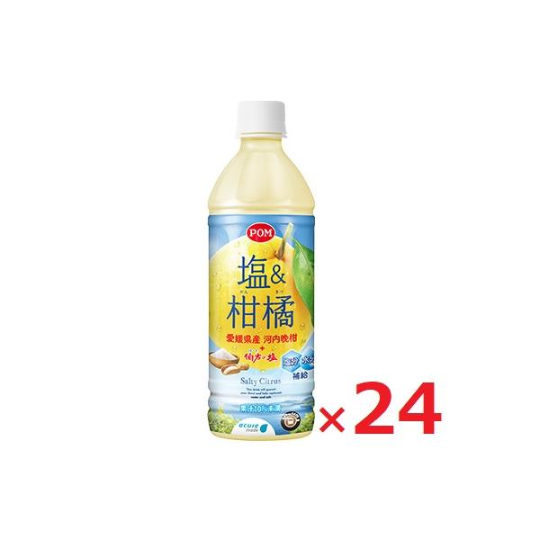 限定販売 えひめ飲料 POM 塩＆柑橘 500ml×24本 愛媛県産 河内晩柑 伯方の塩のサムネイル
