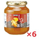 国産生姜茶 高知県産生姜 カンピー しょうが茶 600g×6