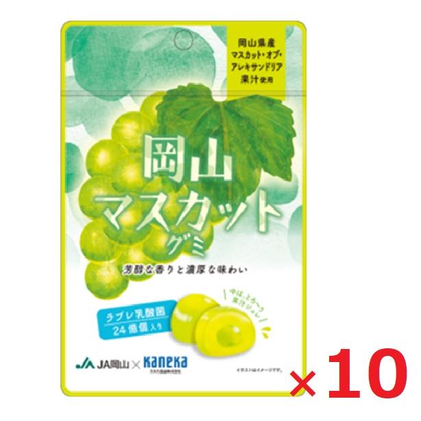 ネコポス カネカ食品 岡山マスカットグミ 果汁グミ ラブレ乳酸菌入り 40g×10袋 グミ 人気 大容量