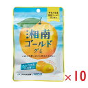 【ポイント10倍〜最大20倍!5/1〜・エントリー必須】ネコポス カネカ食品 湘南ゴールドグミ 果汁グミ ラブレ乳酸菌入り 40g×10袋 グミ 人気 大容量 スイーツ 小腹 お菓子 グミ 人気 おやつ(4)