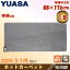 ユアサプライムス ホットカーペット 1畳 本体 88×176cm YC-Y10Y(K) ダニ退治機能 YUASA