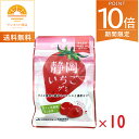 全品ポイント10倍!・10/24 20時~ネコポス カネカ食品 静岡いちごグミ 果汁グミ ラブレ乳酸菌入り 40g×10袋 グミ 人気 大容量