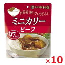 ネコポス 新宿中村屋 ミニカリー ビーフ 1人前100g×10レトルトカレー レトルト食品 インスタント食品