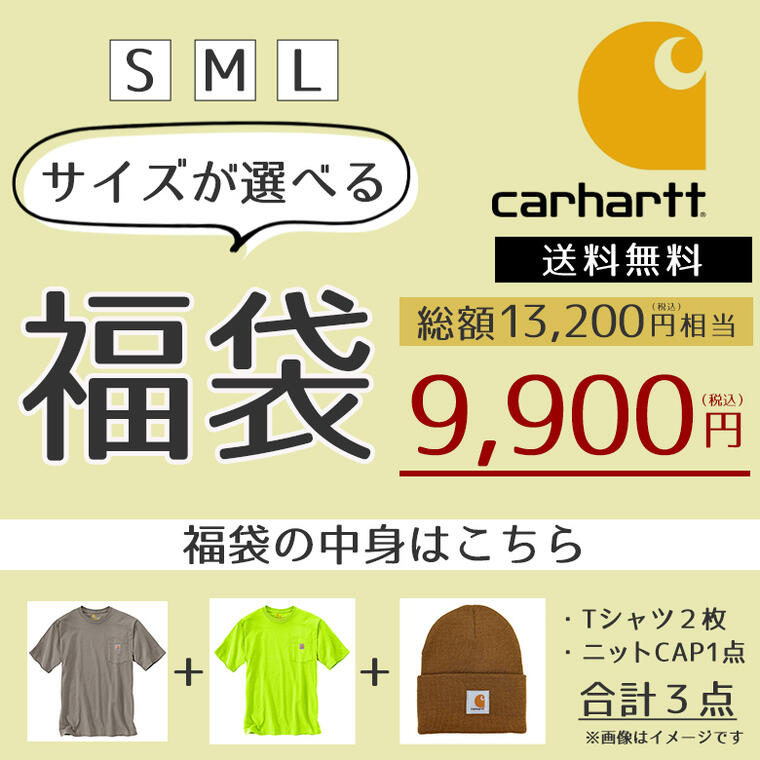 福袋 2025 CARHARTT カーハート Tシャツ 2点 ニットキャップ 1点 合計3点入 USAモデル HAPPY BAG LUCKY BAG お楽しみ 楽天 通販 送料無料