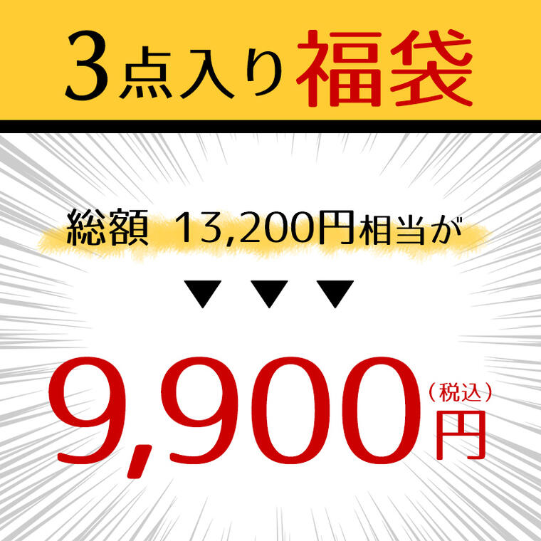 福袋 2025 CARHARTT カーハート Tシャツ 2点 ニットキャップ 1点 合計3点入 USAモデル HAPPY BAG LUCKY BAG お楽しみ 楽天 通販 送料無料
