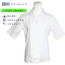 女子 半袖スクールシャツ 開衿 開襟 形態安定 吸汗 速乾 白さキープ 汚れが落ちやすい サワー加工 学生 女児 レディース 制服 小学生 中学生 高校生 ブラ...