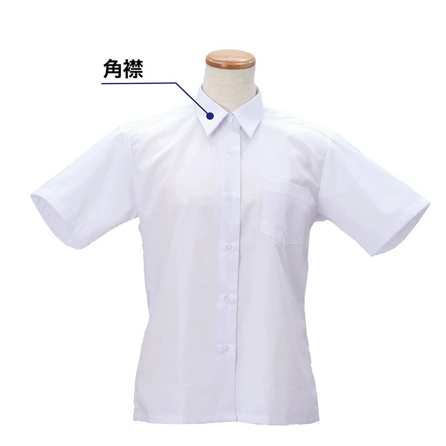 女子スクールシャツ トンボ MAXDRYシャツ 半袖 速乾 形態安定 抗菌防臭 UVケア PHコントロール 消臭 ノーアイロン レディース ワイシャツ 角衿 学生 制服 大きいサイズ対応 TOMBOW A体 B体 5P900