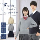 綿混 スクールセーター大きいサイズ 3L 4L 5L 男女兼用 薄手 オールシーズン Vネック ニットセーター 学生 男子 女子 メンズ レディース 女子高生 ...