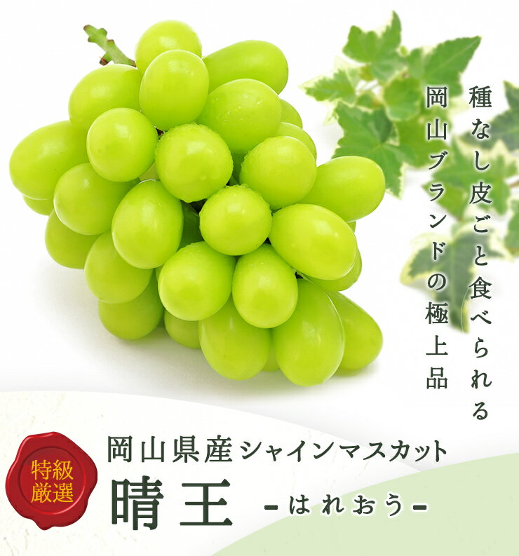 シャインマスカット晴王 2kg 4房入り 青秀以上 岡山ブランド 最高傑作 贈り物 送料無料（北海道・沖縄・離島の方は別途送料1500円がかかります）