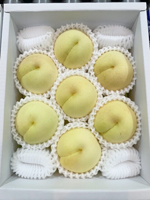 岡山冬桃がたり ロイヤル 約1.3kg 5〜9玉入 桃 もも 送料無料 (北海道・沖縄・離島の方は別途送料1500円がかかります)