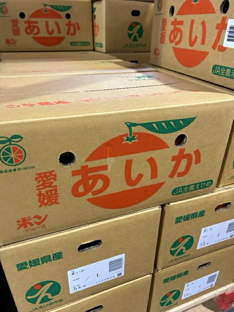 愛媛県産 あいか 約5kg 3L～Mサイズ くだもの サニーフルーツ岡山 送料無料 (北海道・沖縄・離島の方は別途送料1500円がかかります)のサムネイル
