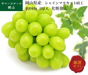 シャインマスカット晴王 約980g 1房入 大房 岡山県産 最高傑作 岡山ブランド 贈答用 ギフト フルーツ 果物 ぶどう ブドウ 送料無料 (北海道・沖縄・離...