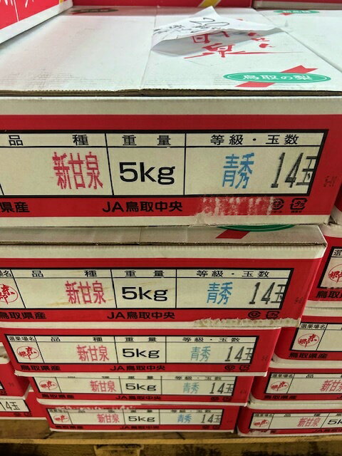 鳥取県産 新甘泉梨 約5kg 10から14玉入 青秀 梨 なし フルーツギフト 送料無料 (北海道・沖縄・離島の方は別途送料1500円がかかります)のサムネイル
