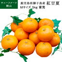 紅甘夏 鹿児島県獅子島産 Mサイズ 約5kg 青秀 送料無料 (北海道・沖縄・離島の方は別途送料1500円がかかります)