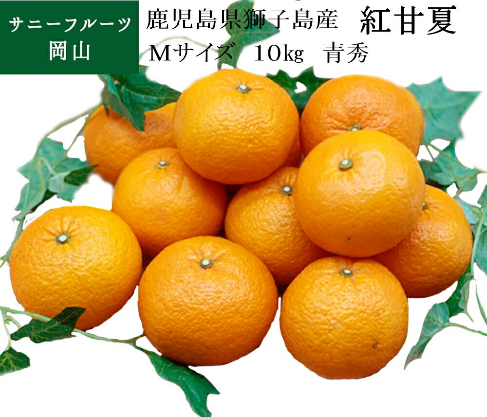 紅甘夏 鹿児島県獅子島産 Mサイズ 約10kg 青秀 送料無料 北海道・沖縄・離島の方は別途送料1500円がかかります 