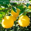 高知県産 土佐文旦 3L〜4Lサイズ 約4.5kg 約8〜10玉入 ◎品 送料無料 (北海道・沖縄・離島の方は別途送料1500円がかかります)