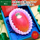 太陽のタマゴ 完熟マンゴー 3L 1玉入 宮崎県産 化粧箱入 贈答用 フルーツ サニーフルーツ岡山 送料無料 (北海道・沖縄・離島の方は別途送料1500円がかか...
