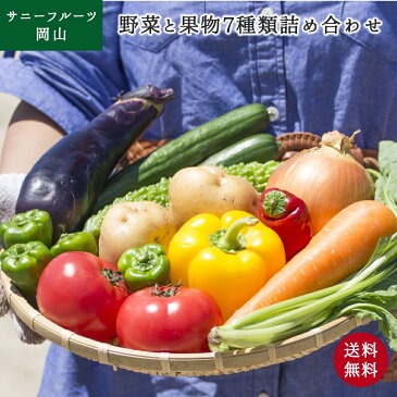 送料無料 旬のおまかせ 野菜と果物7種セット 全国から厳選詰め合わせ 家庭用