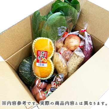 送料無料 旬のおまかせ 野菜と果物7種セット 全国から厳選詰め合わせ 家庭用