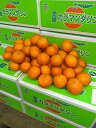 カラマンダリン 約5kg 青秀2L~S 愛媛県中島産 中島便りみかん サニーフルーツ岡山 送料無料 (北海道・沖縄・離島の方は別途送料1500円がかかります)(4)