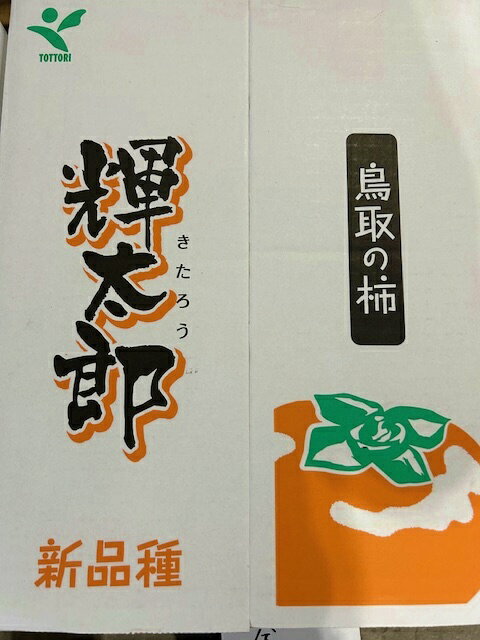 鳥取県産 輝太郎柿 約3kg 7玉～11玉入 柿 かき フルーツギフト サニーフルーツ岡山 送料無料 (北海道・沖縄・離島の方は別途送料1500円がかかります)のサムネイル