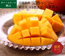 宮崎県産 完熟マンゴー 超大玉 4Lサイズ 1玉入 化粧箱入 贈答用 フルーツ 送料無料 (北海道・沖縄・離島の方は別途送料1500円がかかります)