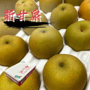新甘泉梨 約5kg 10~18玉入 鳥取県産 赤秀 梨 しんかんせん なし フルーツ ギフト 果物 お取り寄せ サニーフルーツ岡山 送料無料 (北海道・沖縄・離島の方は別途送料1500円がかかります)