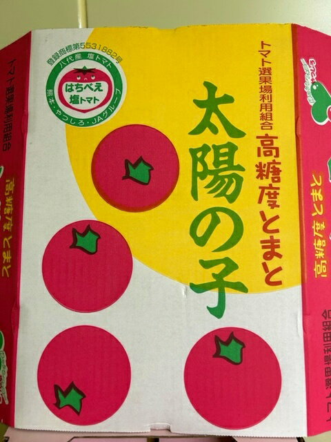 熊本県八代の高糖度とまと 太陽の子 L〜Sサイズ 約1.8kg フルーツトマト 塩とまと 送料無料