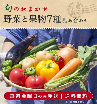 送料無料 旬のおまかせ 野菜と果物7種セット 全国から厳選詰め合わせ 家庭用