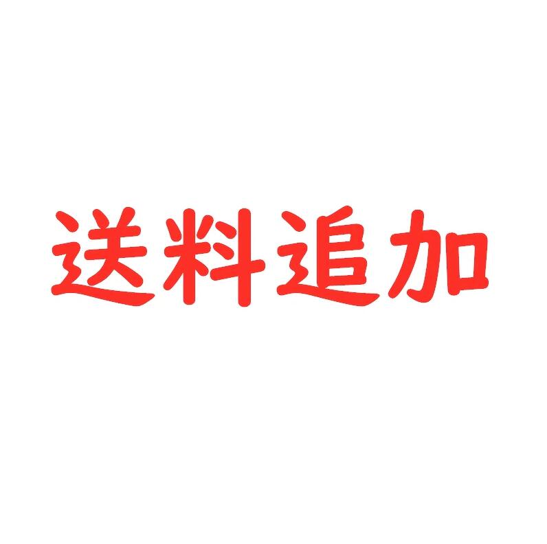 送料・他の注文金額追加専用ページ