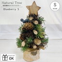 【メーカー希望小売価格より10%OFF】 クリスマスツリー 卓上 Sサイズ 北欧 かわいい おしゃれ シンプル ミニツリー ナチュラル ツリー 自然素材 インテリア クリスマスグッズ オブジェ 置物 ブルーベリー 松ぼっくり ウッドツリー 木のツリー 装飾 コンパクト ミニサイズ