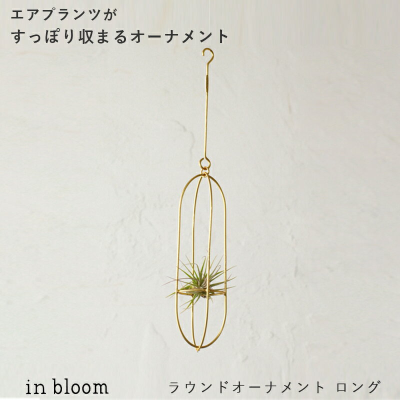 インブルーム ラウンドオーナメント ロング モビール inbloom オーナメント アイアン ゴールド エアプランツ ホルダー インテリアグッズ オブジェ 天井 飾り リビング ダイニング シンプル かわいい