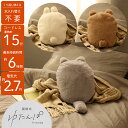 【メーカー希望小売価格より20%OFF】 湯たんぽ 蓄熱式 充電式 ゆたんぽ フレンズ 送料無料 (北海道・沖縄は対象外) ぬいぐるみ 猫 くま うさぎ ねこ ...