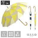 レディース 傘 長傘 アンブレラ 雨傘 軽い 丈夫 55cm オシャレ ギフト プレゼント 撥水 耐風骨 手開き 手開き式 UVカット 紫外線 晴雨兼用 グラス...