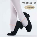 バレエ シューズ フォークダンス ダンスシューズ モダンダンス キャラクターシューズ 大人 レディース フラダンス 演奏 合唱 ジャズダンスシューズ 練習用 レ...