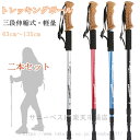 トレッキングポール 2本セット 登山杖 三階段式 ステッキ ストック 軽量アルミ製 登山用杖 登山 軽量 キャップ付き ウォーキングポール 山登り 送料無料(4)