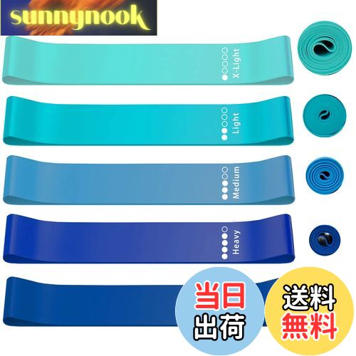 【送料無料】roseddy トレーニングチューブ ゴムバンド 筋トレ ゴムチューブ 天然ラテックス ゴムバンド チューブ トレーニング 5本セット 自宅 筋トレ ゴム バンド 美尻 トレーニングバンド リハビリ ゴムバンド ストレッチバンド(青) 【送料無料】roseddy トレーニングチューブ ゴムバンド 筋トレ ゴムチューブ 天然ラテックス ゴムバンド チューブ トレーニング 5本セット 自宅 筋トレ ゴム バンド 美尻 トレーニングバンド リハビリ ゴムバンド ストレッチバンド(青)