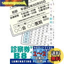 オーム(OHM) オーム電機 100ミクロンラミネーターフィルム20枚 診察券 LAM-FS203
