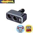 ナポレックス(Napolex) Fizz 車用シガーソケット2連 USB端子2口 USB2 4A 12V車専用ヒューズ付10A(30mm) 通電モニター付 角度調整付 タブレット スマホ同時充電可 カー用品 Fizz-1011